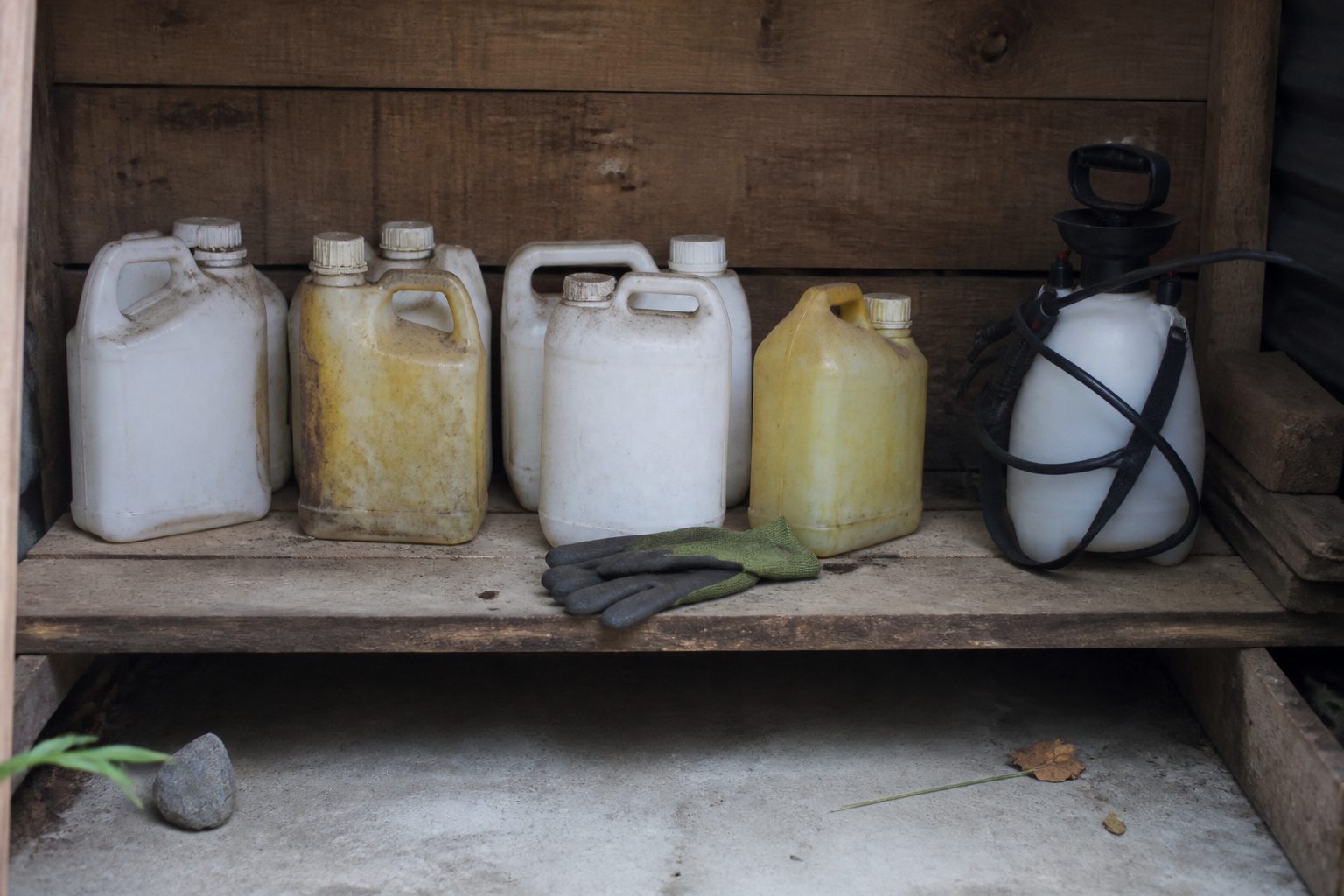 Une étagère d’abri de jardin où sont alignés de vieux bidons de traitement en plastique, à côté d’un pulvérisateur à main