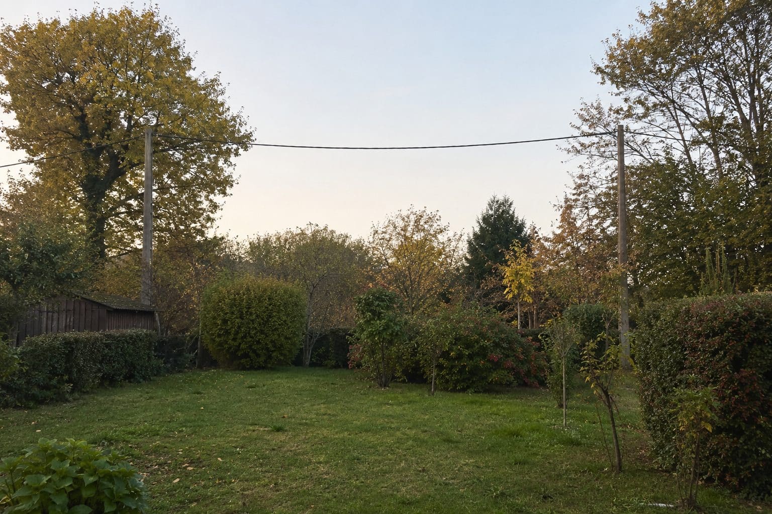 Ligne électrique aérienne traversant un jardin de campagne, arbres taillés à distance des câbles